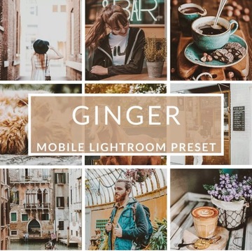 Lightroom PRESET instagram facebook filtry