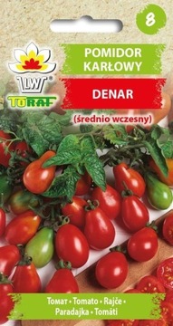 Pomidor gruntowy Denar Nasiona 0,5g Nowość