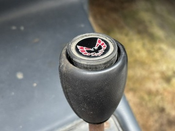 Pontiac Firebird II 1981 Pontiac Firebird / Trans Am 1981 – 3.8 V6, zdjęcie 16