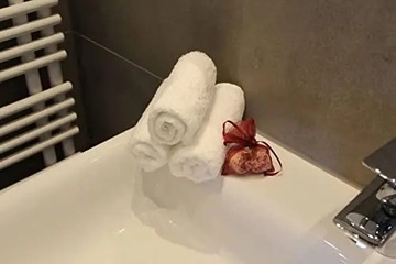 ZOLLNER Маленькие полотенца для рук 10 шт. 30х30 см Bawe.