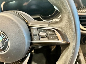 Alfa Romeo Stelvio Quadrifoglio 2.9 GME V6 520KM 2025 Stelvio Bi Turbo V6 Quadrifoglio Q4 2.9 (520KM) 2025, zdjęcie 11