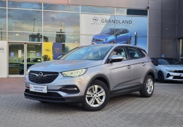 Opel 2020 Opel Grandland X 1,2 130KM Enjoy - salon PL, 1 wlasciciel, bezwypadkowy, s, zdjęcie 1