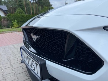 Ford Mustang VI Fastback Facelifting 5.0 Ti-VCT 450KM 2018 Ford Mustang Ford Mustang 5.0 V8 GT Salon Polska Automat 5.0 Benzyna, zdjęcie 9