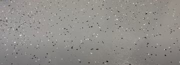 Краска для пола GREINPLAST RFS 1л