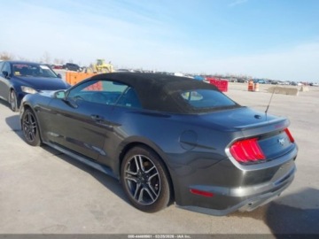 Ford Mustang VI 2018 Ford Mustang Ecoboost, 2018r., 2.3L 2.3 Benzyna 310KM, zdjęcie 2