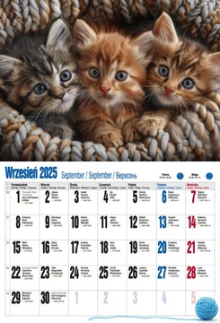 Настенный календарь CATS KITTENS 2024+2025