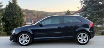 Audi A3 8P Hatchback 3d 1.6 TDI 105KM 2010 Audi A3 3-drzwiowe Audi A3 3-drzwiowe 1.6 TDI DPF Ambition 1.6 Diesel 105KM, zdjęcie 11