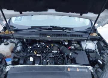 Ford Edge II 2019 Ford Edge 2019r., Sel, 2L, od ubezpieczalni 2.0 Benzyna 253KM, zdjęcie 13