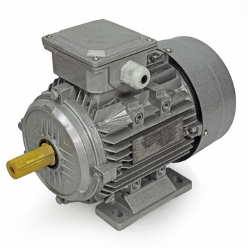 SILNIK ELEKTRYCZNY 0,55KW 1390 OBR MIN 19MM 3FAZOW