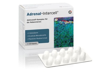 Mito-Pharma Adrenal-Intercell 120 kaps Stres Zmęczenie Sen Układ Nerwowy