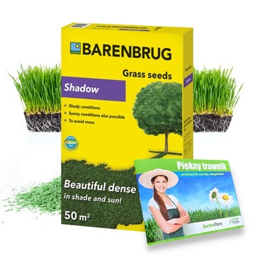 Trawa Barenbrug Shadow na cień 3kg nasiona trawy na miejsca zacienione