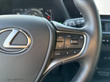 Lexus UX Crossover Facelifting 2.0 250h 184KM 2023 Lexus UX 250h GPF F Sport Design 2WD UX250h F-spor, zdjęcie 19