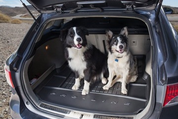 Kia E-Soul 2019 - вставка в нижний пол, коврик в багажник Frogum