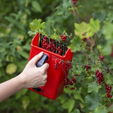 Сборщик черники Browin для черники