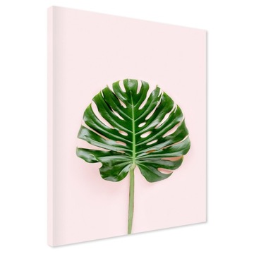 Obraz na płótnie liście monstera 70x100