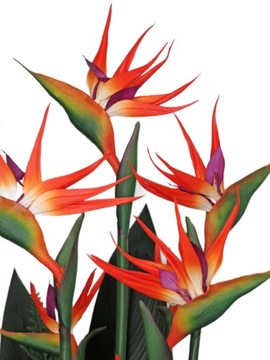 ROYAL STRELICIA РАЙСКАЯ ПТИЦА РЕЗИНОВАЯ ВЕТКА 62см ЦВЕТЫ ДЛЯ КОМПОЗИЦИЙ