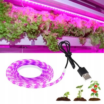 LAMPA LED DO WZROSTU UPRAWY ROŚLIN TAŚMA 300CM