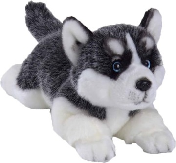 Maskotka Pluszak Przytulanka Pies Husky Syberyjski