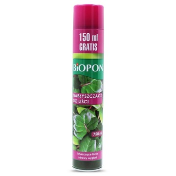 Plant Flower Leaves Shine 750мл Букет Спрей GLOSS Shine