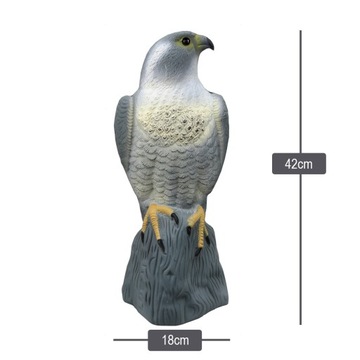 БОЛЬШОЙ ОТПУСКАТЕЛЬ ПТИЦ, ГОЛУБИ, ПОПУСКИ, СОКОЛ на скале, ЭФФЕКТ БЛЕСТЯЩИХ ГЛАЗ