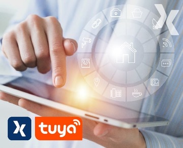 Умная Wi-Fi Android iOS Смарт-розетка Tuya
