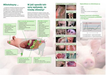 Mycofix Select 3.ПРЕПАРАТ ДЛЯ СВЯЗЫВАНИЯ Э-МИКОТОКСИНА