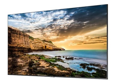 Monitor LED Samsung LH55QETELGCXEN 55