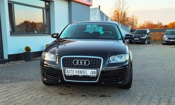 Audi A3 8P Hatchback 3d 1.6 102KM 2008 Audi a3 1,6 MPI 102 km 1.6 Benzyna 102KM, zdjęcie 15
