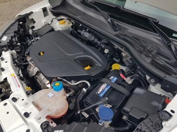 Fiat Doblo IV 2020 FIAT DOBLO MAXI 5 OSÓB DŁUGI KLIMA 6-BIEGÓW KRAJOWY I-WŁAŚCICIEL 2xDRZWI AC, zdjęcie 12