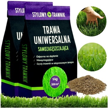 TRAWA UNIWERSALNA SAMOZAGĘSZCZAJĄCA NASIONA 10KG
