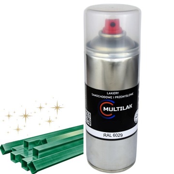 Lakier farba w sprayu do aluminium RAL 6029 Połysk
