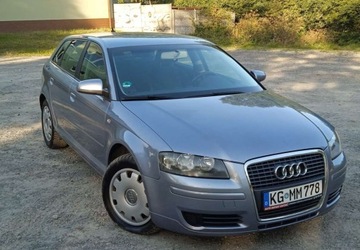 Audi A3 8P Hatchback 3d 1.6 FSI 115KM 2005 Audi A3 1,6 Benzyna 5 Drzwi Klima El szyby ..., zdjęcie 21