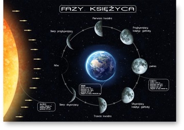 FAZY KSIĘŻYCA plakat obraz 21x30 cm #224