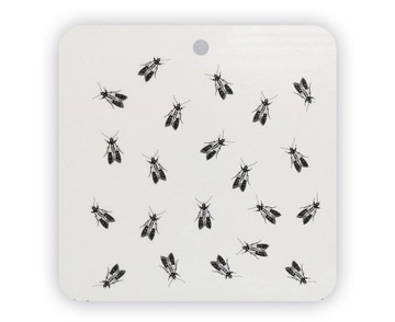 ПРОЧНАЯ СТЕКЛЯННАЯ ЛОВУШКА ДЛЯ ПИЩЕВОЙ МОЛИ ОТ КРОТОВ-ВРЕДИТЕЛЕЙ (4 ШТ)