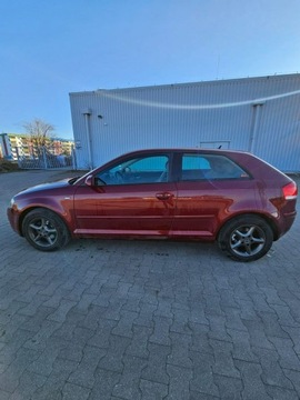 Audi A3 8P Hatchback 3d 2.0 TDI PD 140KM 2003 Audi A3 3-drzwiowe Klimatyzacja-2003-2.0TDI-140KM, zdjęcie 2