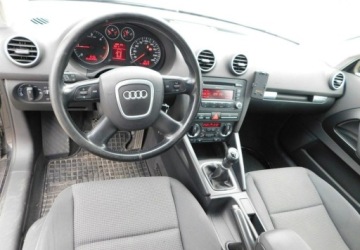 Audi A3 8P Hatchback 3d 2.0 TDI PD 170KM 2007 Audi A3 3-drzwiowe 2.0TDi Quattro Podgrzewane Fotele 2.0 Diesel 170KM, zdjęcie 12