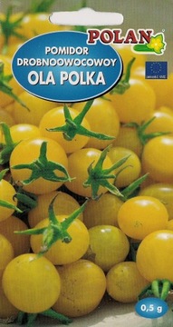 Pomidor drobnoowocowy OLA POLKA 0,2g nasiona polan