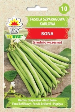 Fasola ZIELONA Bona bezwłókniste strąki nasiona