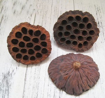 Цветок ЛОТОСА Сушеный Lotus DRIED XXL 10 шт.