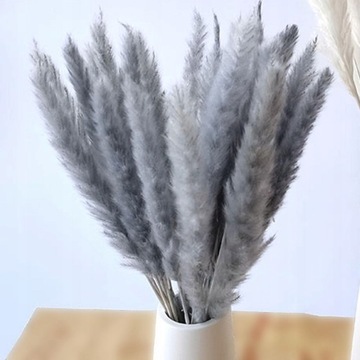 4x 15x сушеная пампасная трава, цветок фрагмита