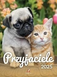 KALENDARZ 2025 WIELOPLANSZOWY B4 PRZYJACIELE