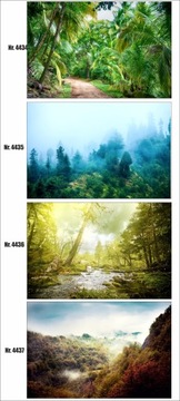 Фотообои на заказ лес в тумане, деревья, природа