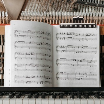 5 шт., музыкальный клип для скрипки, аксессуары для скрипичного музыкального клипа