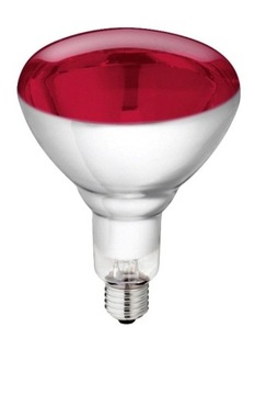 Lampa grzewcza promiennik kwoka żarówka 150W