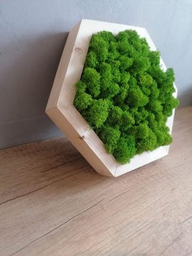 Картина с мхом мхом, шестигранник