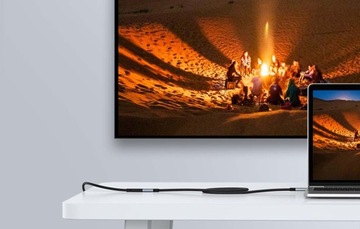 Удлинительный кабель USB-C 3.1 Gen2 0,5 м UGREEN 4K 100 Вт