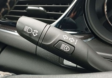 Opel Insignia II Sports Tourer Facelifting 2.0 Turbo 200KM 2021 Opel Insignia Kupiony w Polsce - serwisowany - benzyna - 2,0 - 200 KM 2.0, zdjęcie 30