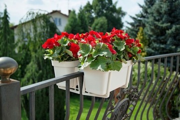Лобелия 60 Цветочный балконный ящик антрацитовый