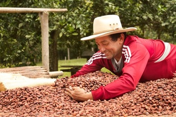 Какао-порошок Fino de Aroma натуральный 22% 1 кг неалкализированный Колумбия