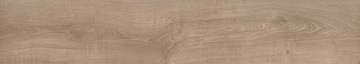 НАПОЛЬНАЯ ПЛИТКА ПОД ДЕРЕВО ГРЕС ПАНЕЛЬ SPACE NATURAL 20X120 РЕЗЬБА /МАТ
